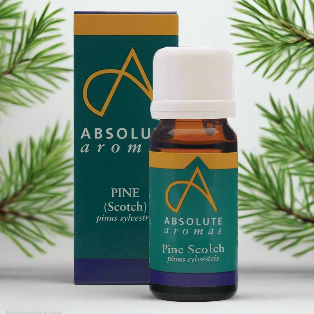 Pine Scotch Essential Oil