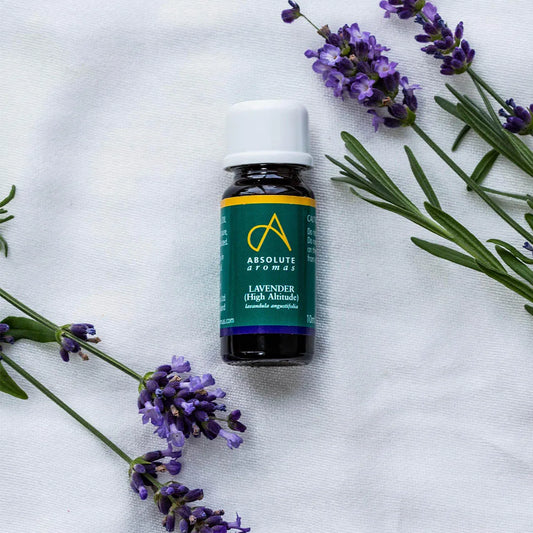 Lavender High Altitude Essential Oil