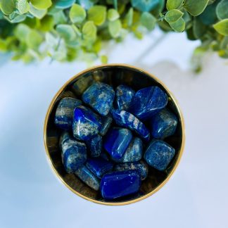 Lapis Lazuli Tumble Stone Crystal Medium